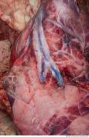 RAW meat pork viscera 0089